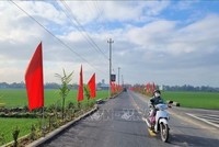 Triển khai cơ chế, chính sách đặc thù đẩy nhanh tiến độ chương trình mục tiêu quốc gia tại địa phương. Ảnh minh họa:TTXVN