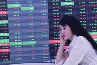 Đi xa hay đi nhanh?