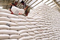 Tổng cục Dự trữ Nhà nước lựa chọn nhà thầu thực hiện 196 gói thầu, mua 220.000 tấn gạo nhập kho dự trữ quốc gia.