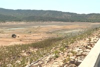 Hồ Ông Kinh, xã Nhơn Hải, huyện Ninh Hải đã về mực nước chết từ hơn một tháng qua. Nguồn: NTV