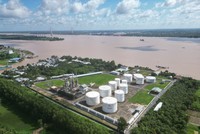 NSH Petro nêu nguyên nhân giá cổ phiếu của Công ty giảm bất thường