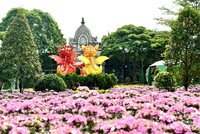 Hạ Long luôn biết cách làm mới cảm xúc của du khách bằng nhiều trải nghiệm mới mẻ