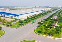 Ảnh minh hoạ. (Nguồn: Internet)