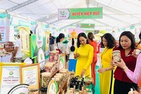 Tuần lễ Khởi nghiệp sáng tạo tỉnh Quảng Nam lần thứ 5 – Techfest Quảng Nam 2024 sẽ được bắt đầu từ ngày 14/5/2024.