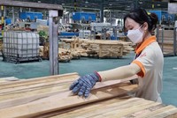 Xuất khẩu gỗ và sản phẩm gỗ thu về hơn 4,8 tỷ USD sau 4 tháng đầu năm 2024.