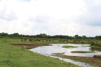 Pháp lý dự án Phước Kiển vẫn đang rất phức tạp 