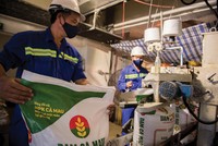 Các doanh nghiệp phân bón đang chịu tác động của việc giá dầu, giá khí neo cao