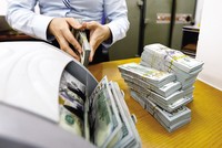 “Chóng mặt” vì biến động tỷ giá 