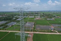 Khoảng néo đầu tiên của Đường dây 500 kV Quảng Trạch - Phố Nối bắt đầu kéo dây. 