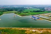 Ảnh minh hoạ. (Nguồn: Internet)