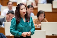 Đại biểu Vũ Thị Lưu Mai (Hà Nội) phát biểu. 