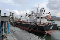 Kim ngạch xuất khẩu sử dụng ưu đãi thuế quan theo các FTA tăng nhanh