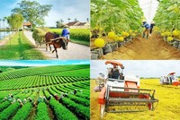 Kiện toàn Ban Chỉ đạo Trung ương các chương trình mục tiêu quốc gia