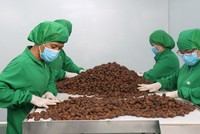 Tính chung 5 tháng đầu năm, giá trị xuất khẩu nông sản tăng 27,7%.