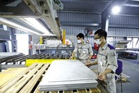 Nhà máy Neofloor tại Khu công nghiệp DeepC Hải Phòng. Ảnh: Đức Thanh