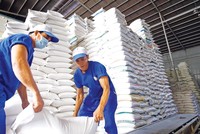 Việt Nam vẫn là đối tác xuất khẩu gạo lớn nhất của Philippines