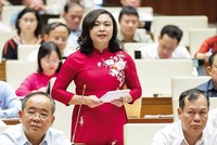 Đại biểu Đặng Bích Ngọc (Hòa Bình) chất vấn Bộ trưởng Đặng Quốc Khánh