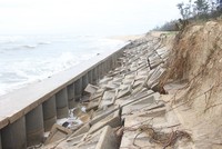 Bờ kè ở biển Tam Thanh (Quảng Nam) bị sóng đánh sạt lở, sụt lún nghiêm trọng trong năm 2023.