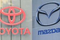 Toyota, Mazda tạm dừng sản xuất 5 mẫu xe sau bê bối gian lận về kiểm định