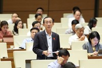 Đại biểu Trần Hoàng Ngân (TPHCM) tham gia thảo luận.