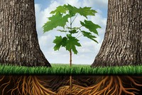 Giảm sở hữu chéo ngân hàng, cần thêm công cụ