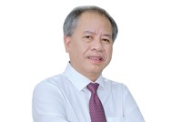 Ông Đoàn Văn Thắng, Phụ trách Hội đồng thành viên, Tổng giám đốc Công ty TNHH một thành viên Quản lý tài sản của các tổ chức tín dụng Việt Nam (VAMC)