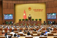 Phiên thảo luận về cơ chế đặc thù cho Đà Nẵng của Quốc hội