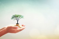 Thị trường cần thêm động lực