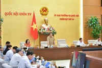 Phó chủ tịch Quốc hội Nguyễn Đức Hải điều hành phiên thảo luận.