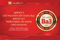 Ngân hàng phát triển bền vững trên nền tảng quản trị rủi ro vững chắc