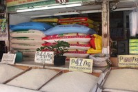 Mức giá bán lẻ một số mặt hàng gạo tại Philippines thời điểm tháng 9/2022 (giá bán lẻ thời điểm hiện tại đã tăng lên 54 – 60 pesos/kg).