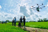 Thiết bị bay không người lái (Drone/UAV) sẽ thay thế người nông dân thực hiện phun thuốc bảo vệ thực vật trên đồng ruộng.