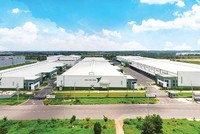 Các doanh nghiệp trong nước đang nỗ lực cạnh tranh để giành thêm thị phần trên thị trường kho bãi