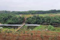 Khu du lịch sinh thái Rú Lịnh đặt mục tiêu đón khách quốc tế vào năm 2025