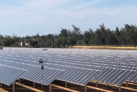 Quảng Ngãi: Nhà đầu tư xin khảo sát thực hiện 4 dự án điện gió, điện mặt trời