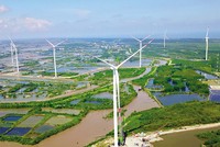 Toàn cảnh Dự án điện gió Sunpro tại huyện Bình Đại (Bến Tre)