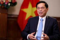 Bộ trưởng Bộ Ngoại giao Bùi Thanh Sơn. (Ảnh: BNG)