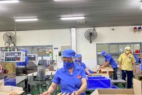 Doanh nghiệp nặng gánh chi phí với chính sách tăng cường vi chất dinh dưỡng.