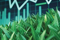 Mua cổ phiếu vượt đỉnh hay cổ phiếu chưa “về bờ”?