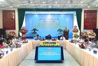 Phù Mỹ (Bình Định) thu hút nhiều doanh nghiệp quan tâm, đầu tư dự án 