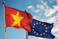 Tròn 4 năm thực thi EVFTA: Xuất khẩu sang EU tăng vọt 