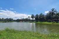 Khu vực công viên Cọ Dầu. TP. Đông Hà, tỉnh Quảng Trị