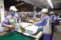 Nhiều doanh nghiệp không mong được hỗ trợ, mà chỉ mong chính sách không tạo thêm gánh nặng cho họ. Ảnh: Đức Thanh