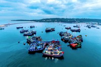 Hải Phòng hướng đến là trung tâm kinh tế biển hiện đại của Đông Nam Á