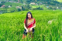 Vẻ đẹp siêu thực của Sa Pa mùa lúa xanh