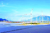 Năng lượng tái tạo thu hút nhiều nhà đầu tư Singapore. Trong ảnh: Dự án điện gió của GELEX được Sembcorp Industries góp vốn 