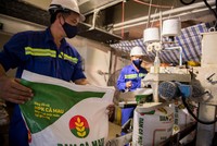 Giá phân bón hồi phục giúp các doanh nghiệp trong ngành ghi nhận lợi nhuận tích cực trong nửa đầu năm 