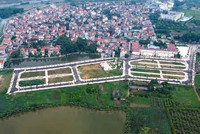 Các lô đất được đưa ra đấu giá tại huyện Hoài Đức (Hà Nội) ngày 19/8/2024, trong đó có lô đất được nhà đầu tư trả gấp hơn 18 lần so với giá khởi điểm. Ảnh: VGP