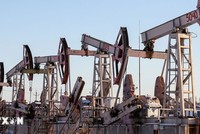 Các máy bơm dầu tại một cơ sở lọc dầu của Nga. (Ảnh: TASS/TTXVN)