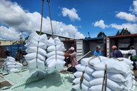 Giá gạo 5% tấm xuất khẩu tăng lên 578 USD/tấn so với tuần trước.